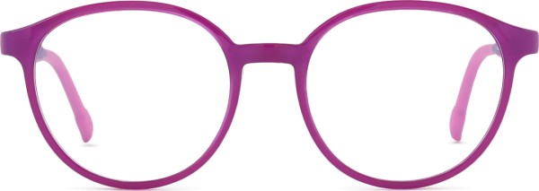 Active Clip on F 0653 49 162 000 F 49 (sunčani klip)