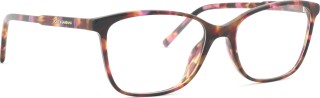 Dolce & Gabbana 0DG3424 3440 54