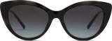 Emporio Armani EA 4213U 50171W 53 (sunčani klip) 36744