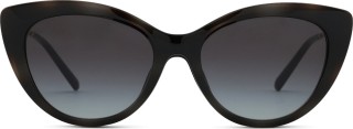Emporio Armani EA 4213U 50171W 53 (sunčani klip) 36744