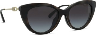 Emporio Armani EA 4213U 50171W 53 (sunčani klip) 36745
