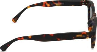 Izipizi Sun Junior #C Tortoise (za uzrast 7 - 11 godina)