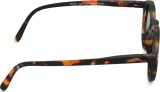 Izipizi Sun Kids #D Tortoise (za uzrast 3–5 godina) 47175