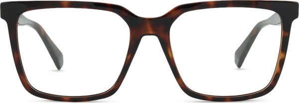 Polaroid PLD D556/C 086 17 55 (sunčani klip)