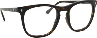 Ray-Ban 0RX2210V 2012