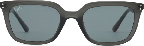 Ray-Ban RB4439D 667587 54